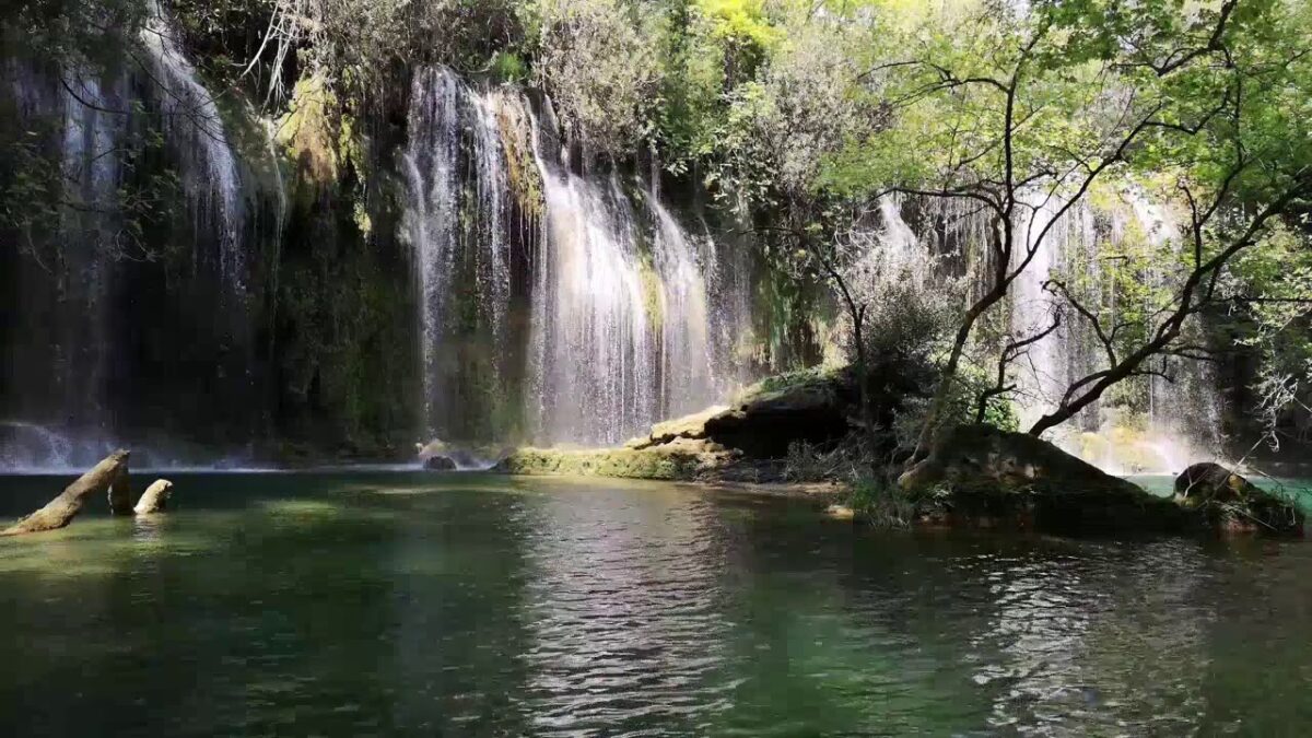 Jungle Waterfall Oasis